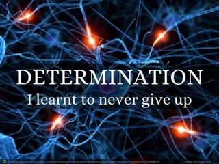 Photo by scienceheath - Creative Commons Attribution-NonCommercial-ShareAlike License https://www.flickr.com/photos/42750848@N02 Created with Haiku Deck
 