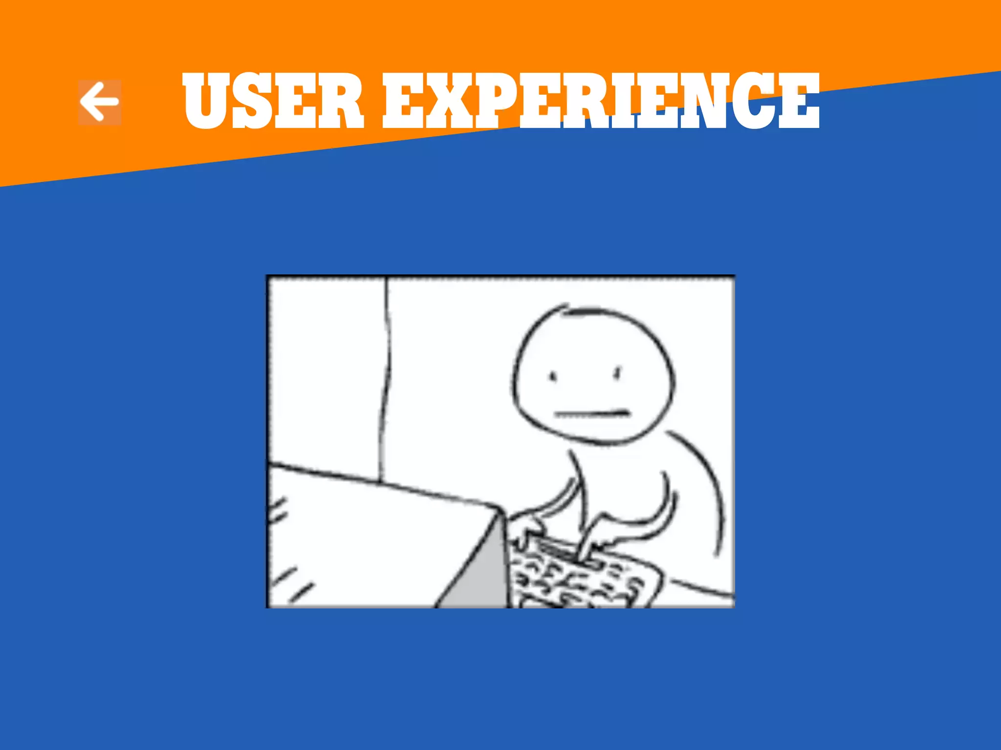 User experience
 