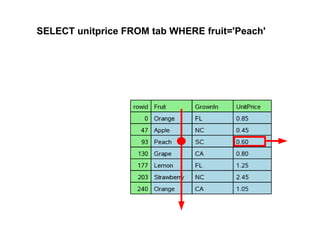 SELECT unitprice FROM tab WHERE fruit='Peach'
 