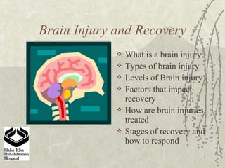 Brain Injury and Recovery ,[object Object],[object Object],[object Object],[object Object],[object Object],[object Object]