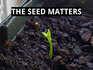 THE SEED MATTERS

 