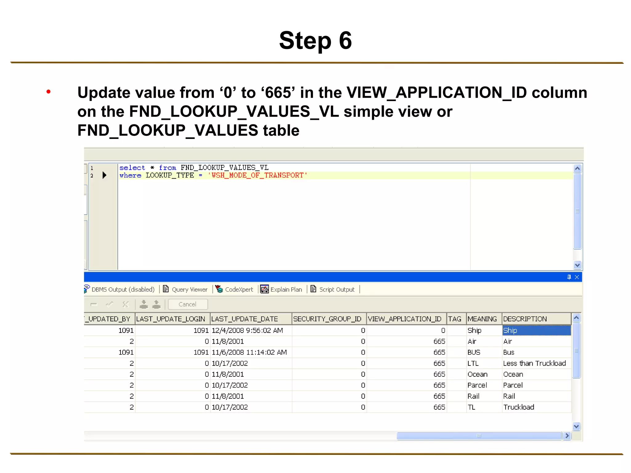 Step 6 Update value from ‘0’ to ‘665’ in the VIEW_APPLICATION_ID column on the FND_LOOKUP_VALUES_VL simple view or FND_LOOKUP_VALUES table 