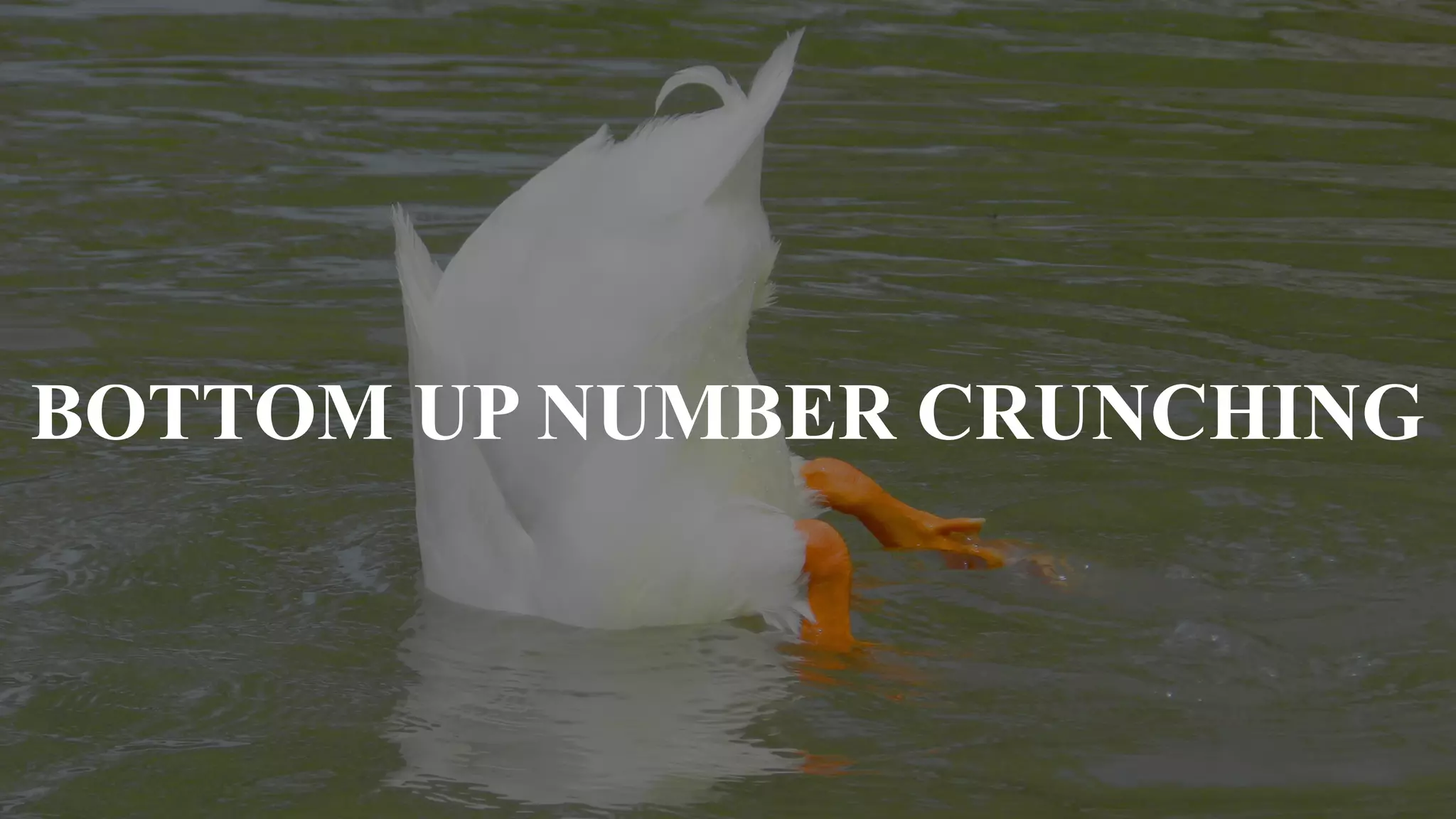 BOTTOM UP NUMBER CRUNCHING
 