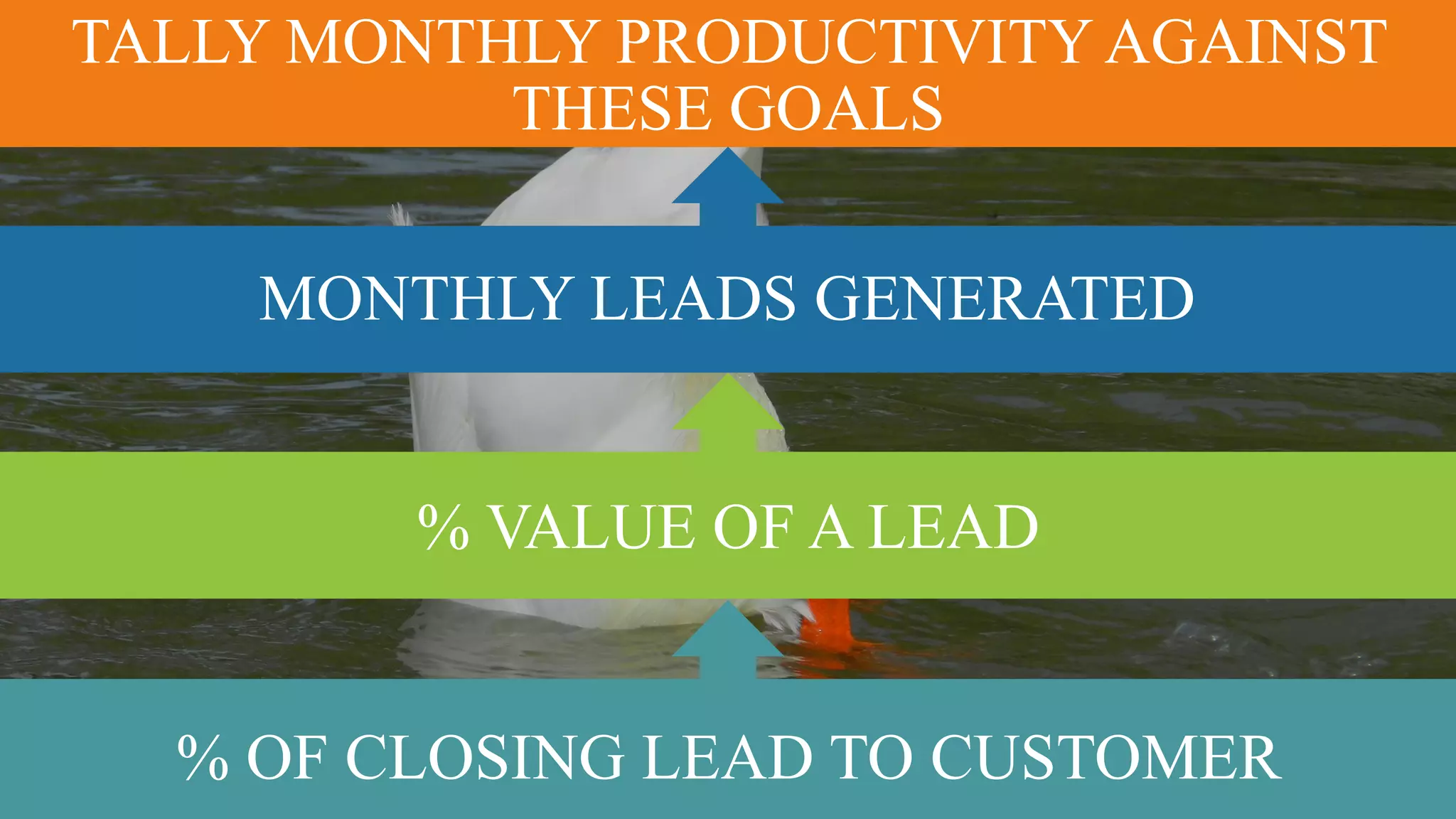 TALLY MONTHLY PRODUCTIVITY AGAINST
THESE GOALS
MONTHLY LEADS GENERATED
% OF CLOSING LEAD TO CUSTOMER
% VALUE OF A LEAD
 