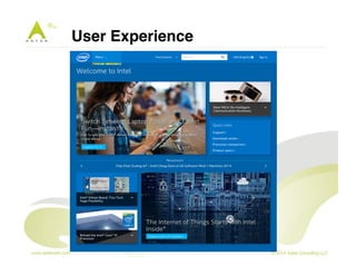 User Experience " 
 