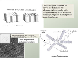 Chain folding was proposed by
Flory in the 1960’s and has
subsequently been confirmed in
many polymers by atomic resolution
microscopy. Adjacent chain alignment
is seen in cellulose.
Chain alignment in
cellulose microfibrils
9
Biophys J. 2000 August; 79(2): 1139–1145.
A A Baker, W Helbert, J Sugiyama, and M J Miles
 