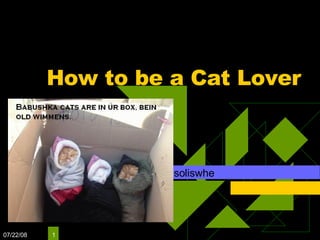 How to be a Cat Lover soliswhe 06/04/09 