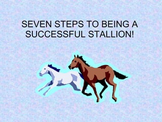 SEVEN STEPS TO BEING A SUCCESSFUL STALLION! 