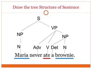 Draw the tree Structure of Sentence
Maria never ate a brownie.
N
S
NP
NVAdv
NP
Det
VP
 