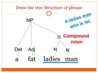 Draw the tree Structure of phrase
a fat ladies man
Det
NP
Adj NN
 