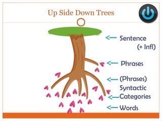 Up Side Down Trees
Phrases
(Phrases)
Words
Sentence
(+ Infl)
Syntactic
Categories
 