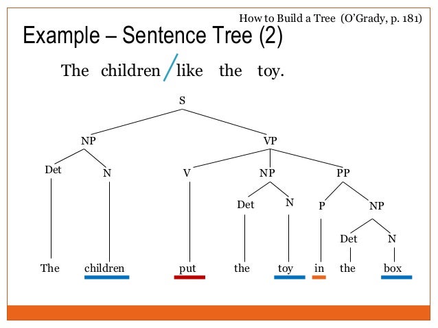 sentence structure examples