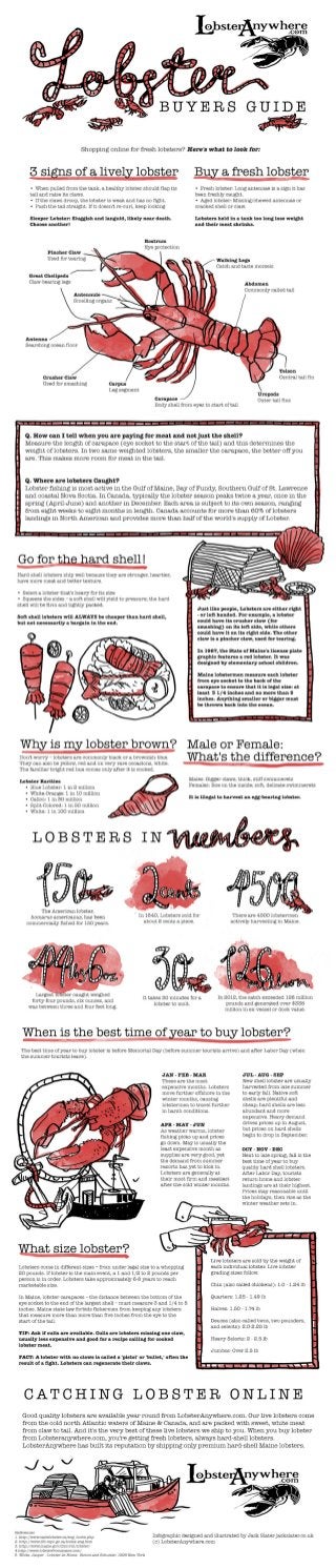 The Ultimate Guide for Buying Live Lobsters #Infographic