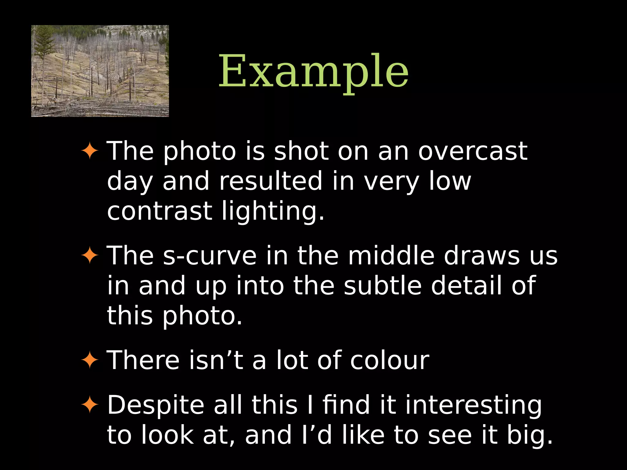 Example
✦ The photo is shot on an overcast
day and resulted in very low
contrast lighting.
✦ The s-curve in the middle draws us
in and up into the subtle detail of
this photo.
✦ There isn’t a lot of colour
✦ Despite all this I ﬁnd it interesting
to look at, and I’d like to see it big.
 