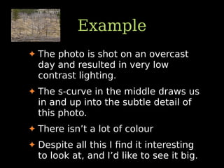Example
✦ The photo is shot on an overcast
day and resulted in very low
contrast lighting.
✦ The s-curve in the middle draws us
in and up into the subtle detail of
this photo.
✦ There isn’t a lot of colour
✦ Despite all this I ﬁnd it interesting
to look at, and I’d like to see it big.
 