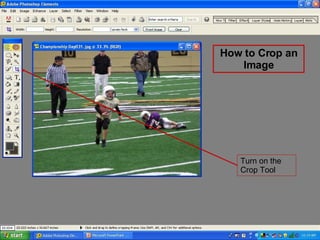 Turn on the Crop Tool How to Crop an Image 