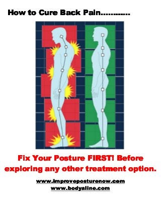 How to Cure Back Pain…………

Fix Your Posture FIRST! Before
exploring any other treatment option.
www.improveposturenow.com
www.bodyaline.com

 