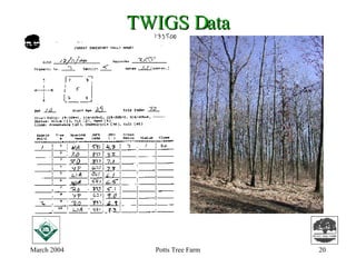 Tree Inventory Chart.pdf How To Do an Inventory of Your Trees | PPT