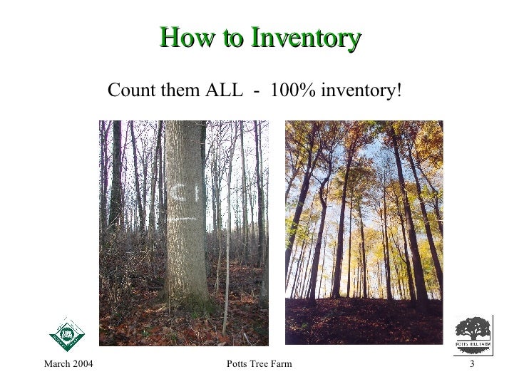 How To Do an Inventory of Your Trees