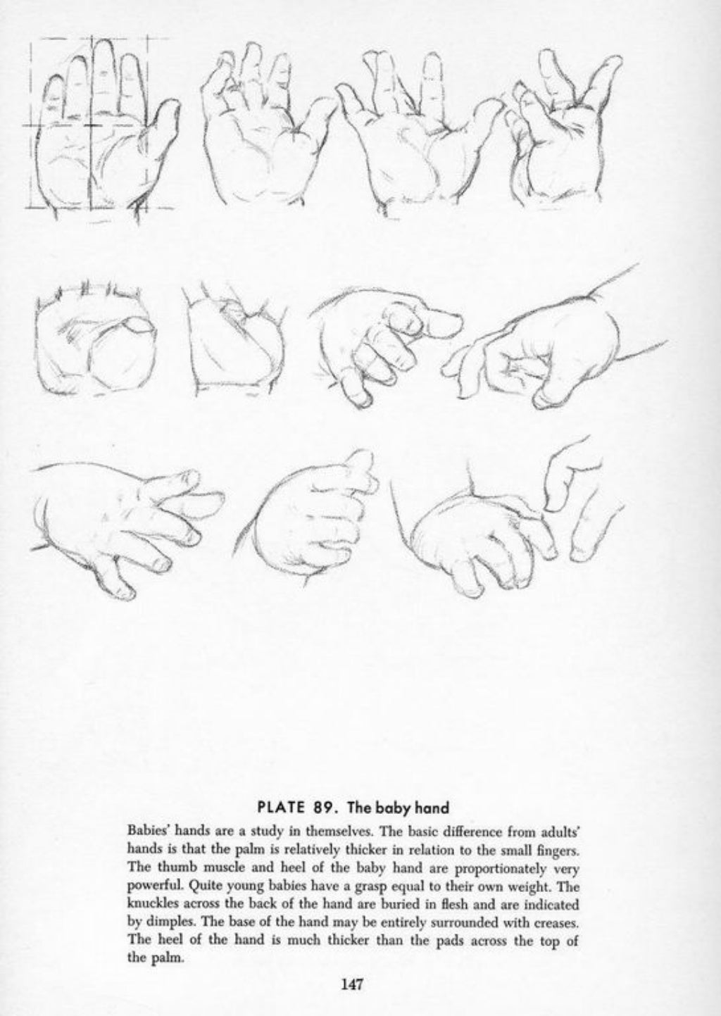 [How to-draw] andrew loomis - drawing the head and hands