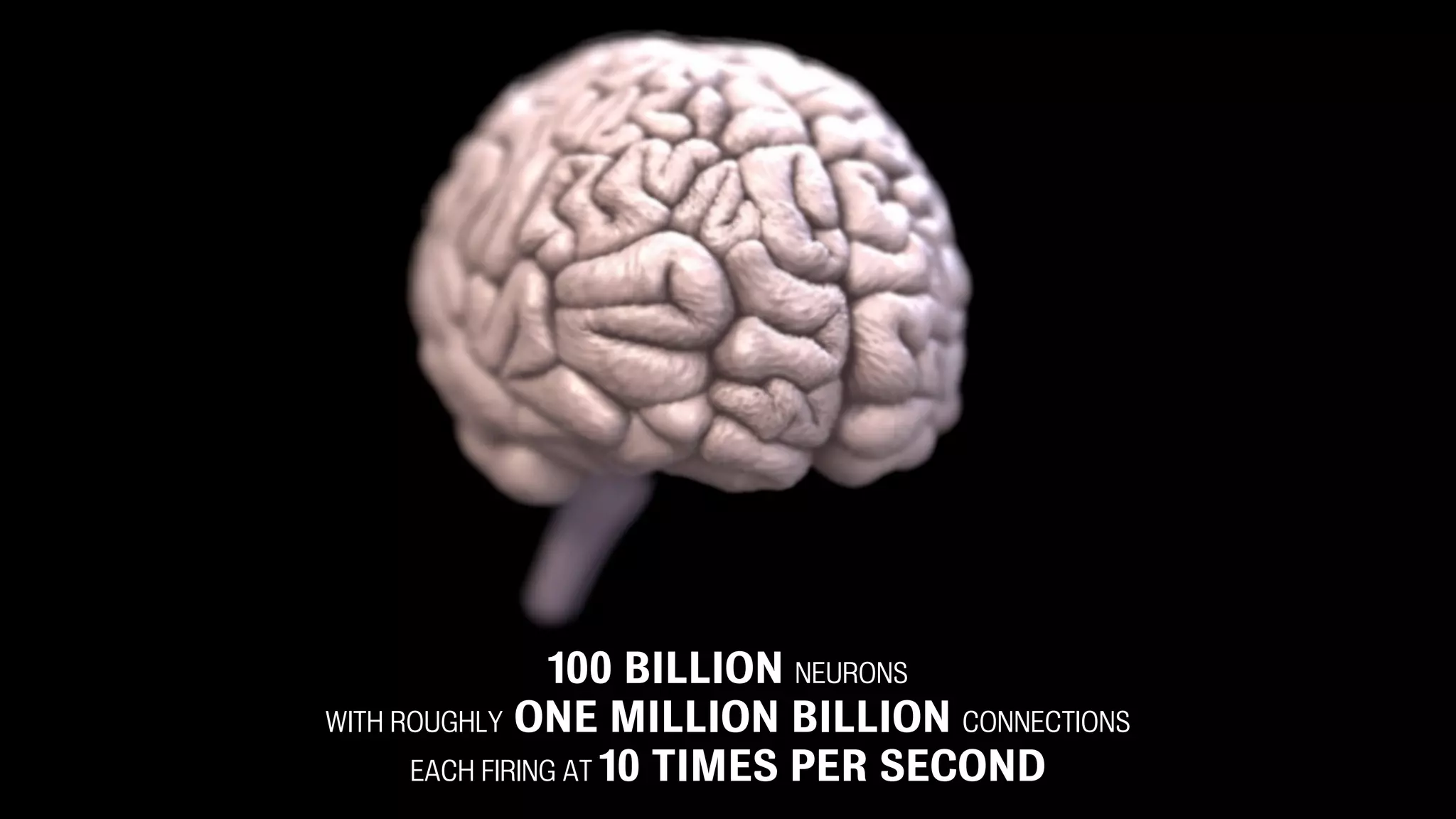 100 BILLION NEURONS
WITH ROUGHLY ONE MILLION BILLION CONNECTIONS
EACH FIRING AT 10 TIMES PER SECOND
 