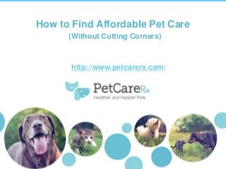 How to Find Affordable Pet Care
(Without Cutting Corners)

http://www.petcarerx.com/

0

 