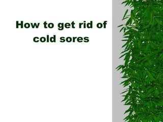 How to get rid of cold sores 