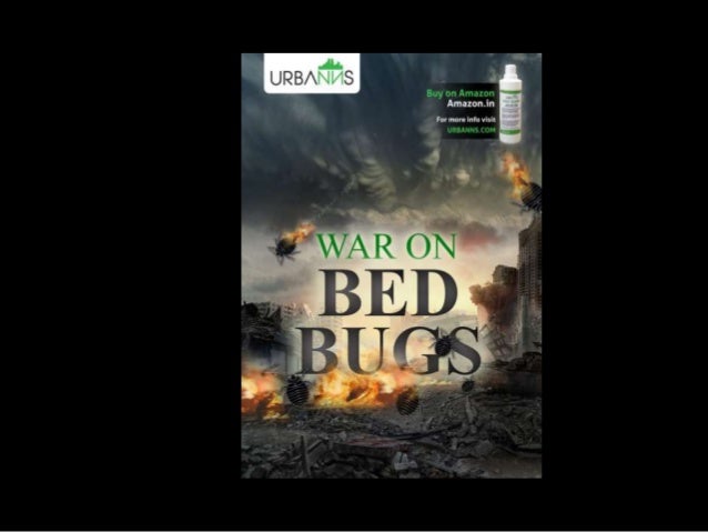 Dealing With Bed Bugs Naturally Dealing With Bed Bugs Naturally