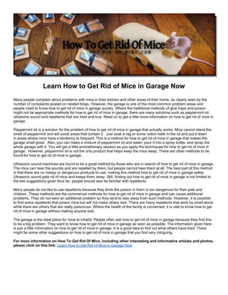 Learn How to Get Rid of Mice in Garage Now
Many people complain about problems with mice in their kitchen and other areas of their home, as clearly seen by the
number of complaints posted on related blogs. However, the garage is one of the most common problem areas and
people need to know how to get rid of mice in garage quickly. Where the traditional methods of glue traps and poison
might not be appropriate methods for how to get rid of mice in garage, there are many solutions such as peppermint oil,
ultrasonic sound and repellants that are tried and true. Read on to get a little more information on how to get rid of mice in
garage.

Peppermint oil is a solution for the problem of how to get rid of mice in garage that actually works. Mice cannot stand the
smell of peppermint and will avoid areas that contain it. Just soak a rag or some cotton balls in the oil and put it down
in areas where mice have a tendency to frequent. This is a method for how to get rid of mice in garage that makes the
garage smell great. Also, you can make a mixture of peppermint oil and water, pour it into a spray bottle, and spray the
whole garage with it. You will get a little aromatherapy session as you apply the techniques for how to get rid of mice in
garage. However, peppermint oil is not the only product that helps keep the mice away. There are other methods to be
found for how to get rid of mice in garage.

Ultrasonic sound machines are found to be a great method by those who are in search of how to get rid of mice in garage.
The mice can hear the sounds and are repelled by them, but people cannot hear them at all. The best part of this method
is that there are no messy or dangerous products to use, making this method how to get rid of mice in garage safely.
Ultrasonic sound gets rid of mice and keeps them away. Still, finding out how to get rid of mice in garage is not limited to
the two suggestions given thus far, people should also be familiar with repellents.

Many people do not like to use repellents because they think the poison in them is too dangerous for their pets and
children. These methods are the commercial methods for how to get rid of mice in garage and can cause additional
problems. They do not want an additional problem so they tend to stay away from such methods. However, it is possible
to find some repellents that poison mice but will not make others sick. There are many repellents that work by smell alone
while there are others that are really poisonous. Where the health of the family is concerned, it is vital to know how to get
rid of mice in garage without making anyone sick.

The garage is the ideal place for mice to inhabit. People often ask how to get rid of mice in garage because they find this
to be a big problem. They want to know how to get rid of mice in garage as soon as possible. The information given here
is just a little information on how to get rid of mice in garage. It is a good idea to find out what others have tried. There
might be some other suggestions on how to get rid of mice in garage that you find very intriguing.

For more information on How To Get Rid Of Mice, including other interesting and informative articles and photos,
please click on this link: Learn How to Get Rid of Mice in Garage Now
 