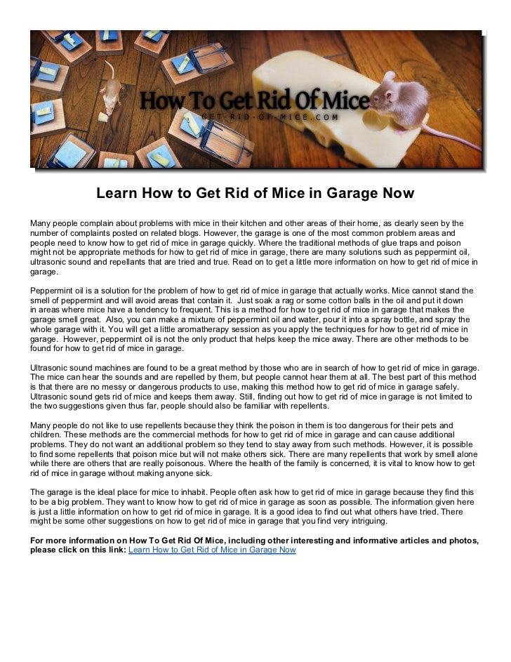 mice garage rid learn slideshare upcoming