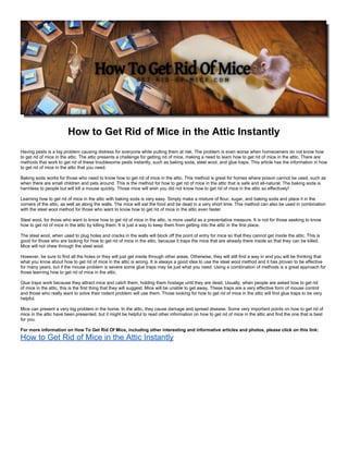 How to Get Rid of Mice in the Attic Instantly
Having pests is a big problem causing distress for everyone while putting them at risk. The problem is even worse when homeowners do not know how
to get rid of mice in the attic. The attic presents a challenge for getting rid of mice, making a need to learn how to get rid of mice in the attic. There are
methods that work to get rid of these troublesome pests instantly, such as baking soda, steel wool, and glue traps. This article has the information in how
to get rid of mice in the attic that you need.

Baking soda works for those who need to know how to get rid of mice in the attic. This method is great for homes where poison cannot be used, such as
when there are small children and pets around. This is the method for how to get rid of mice in the attic that is safe and all-natural. The baking soda is
harmless to people but will kill a mouse quickly. Those mice will wish you did not know how to get rid of mice in the attic so effectively!

Learning how to get rid of mice in the attic with baking soda is very easy. Simply make a mixture of flour, sugar, and baking soda and place it in the
corners of the attic, as well as along the walls. The mice will eat the food and be dead in a very short time. This method can also be used in combination
with the steel wool method for those who want to know how to get rid of mice in the attic even faster.

Steel wool, for those who want to know how to get rid of mice in the attic, is more useful as a preventative measure. It is not for those seeking to know
how to get rid of mice in the attic by killing them. It is just a way to keep them from getting into the attic in the first place.

The steel wool, when used to plug holes and cracks in the walls will block off the point of entry for mice so that they cannot get inside the attic. This is
good for those who are looking for how to get rid of mice in the attic, because it traps the mice that are already there inside so that they can be killed.
Mice will not chew through the steel wool.

However, be sure to find all the holes or they will just get inside through other areas. Otherwise, they will still find a way in and you will be thinking that
what you know about how to get rid of mice in the attic is wrong. It is always a good idea to use the steel wool method and it has proven to be effective
for many years, but if the mouse problem is severe some glue traps may be just what you need. Using a combination of methods is a great approach for
those learning how to get rid of mice in the attic.

Glue traps work because they attract mice and catch them, holding them hostage until they are dead. Usually, when people are asked how to get rid
of mice in the attic, this is the first thing that they will suggest. Mice will be unable to get away. These traps are a very effective form of mouse control
and those who really want to solve their rodent problem will use them. Those looking for how to get rid of mice in the attic will find glue traps to be very
helpful.

Mice can present a very big problem in the home. In the attic, they cause damage and spread disease. Some very important points on how to get rid of
mice in the attic have been presented, but it might be helpful to read other information on how to get rid of mice in the attic and find the one that is best
for you.

For more information on How To Get Rid Of Mice, including other interesting and informative articles and photos, please click on this link:
How to Get Rid of Mice in the Attic Instantly
 