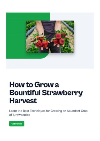 HowtoGrowa
BountifulStrawberry
Harvest
LearntheBestTechniquesforGrowinganAbundantCrop
ofStrawberries
Getstarted
 