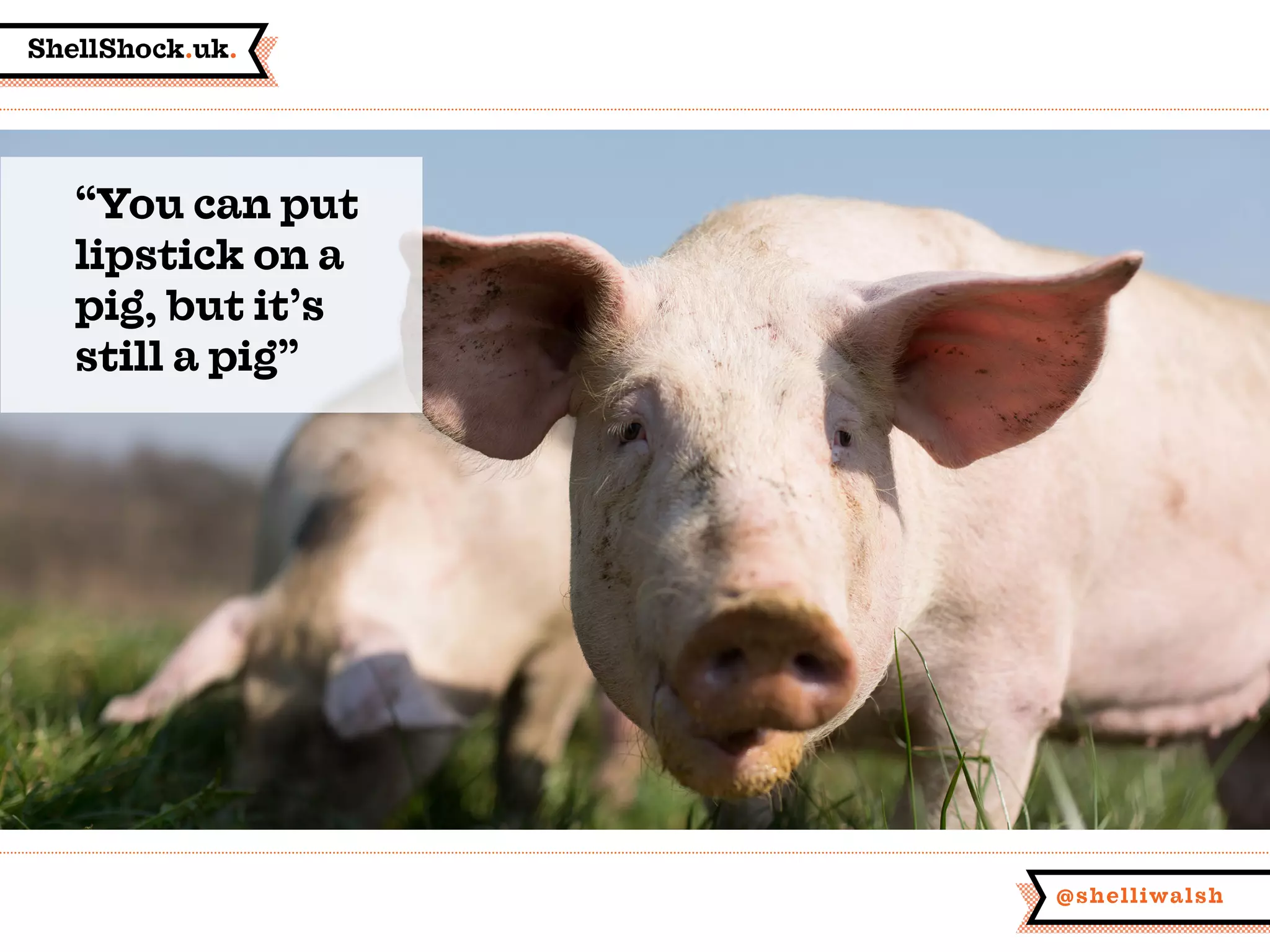ShellShock.uk.
@shelliwalsh
“You can put
lipstick on a
pig, but it’s
still a pig”
 