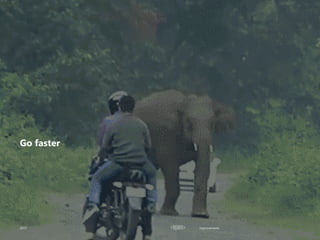 Improvements
Go faster
2017
 