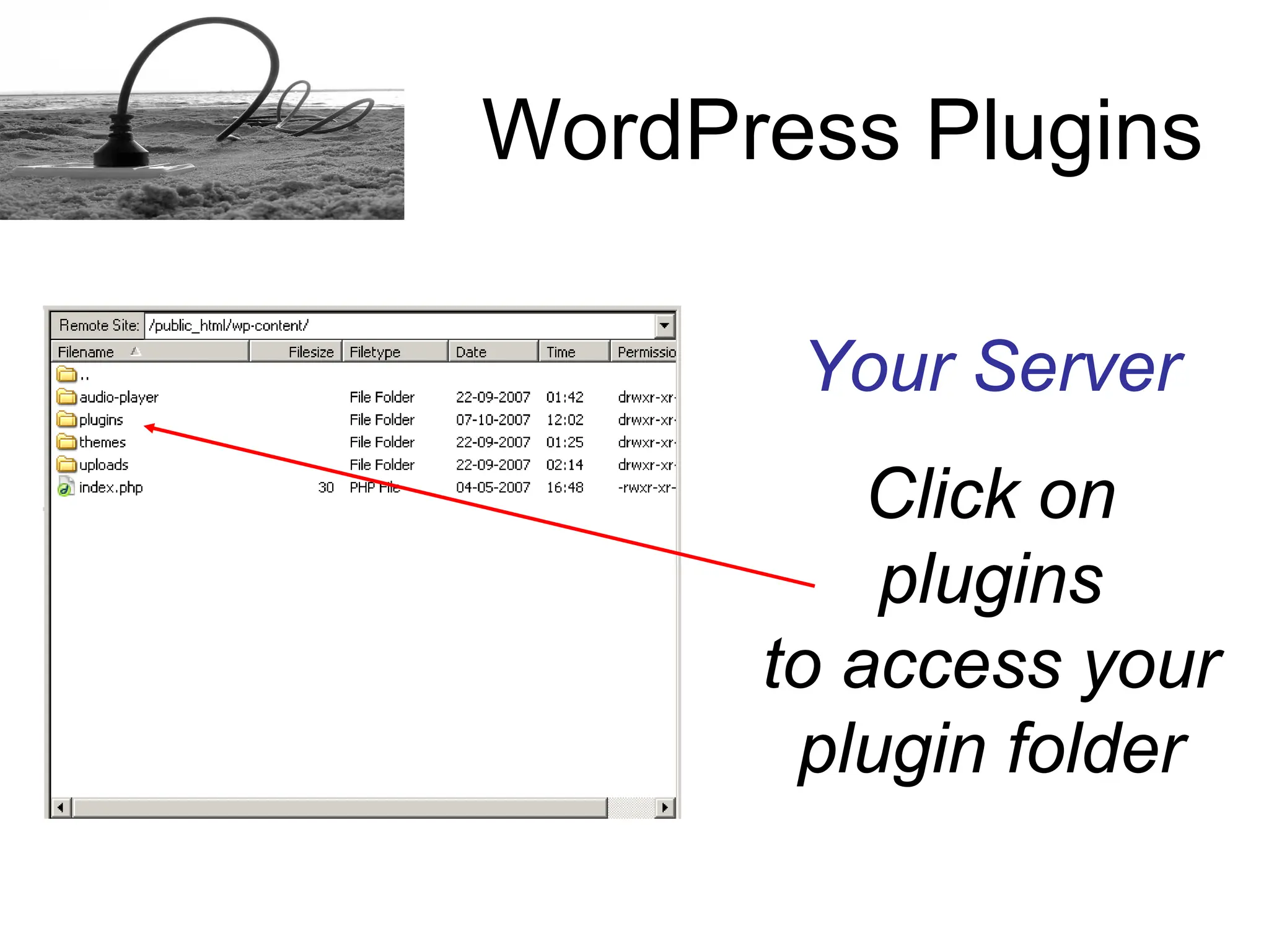 How to install a Word Press plugins