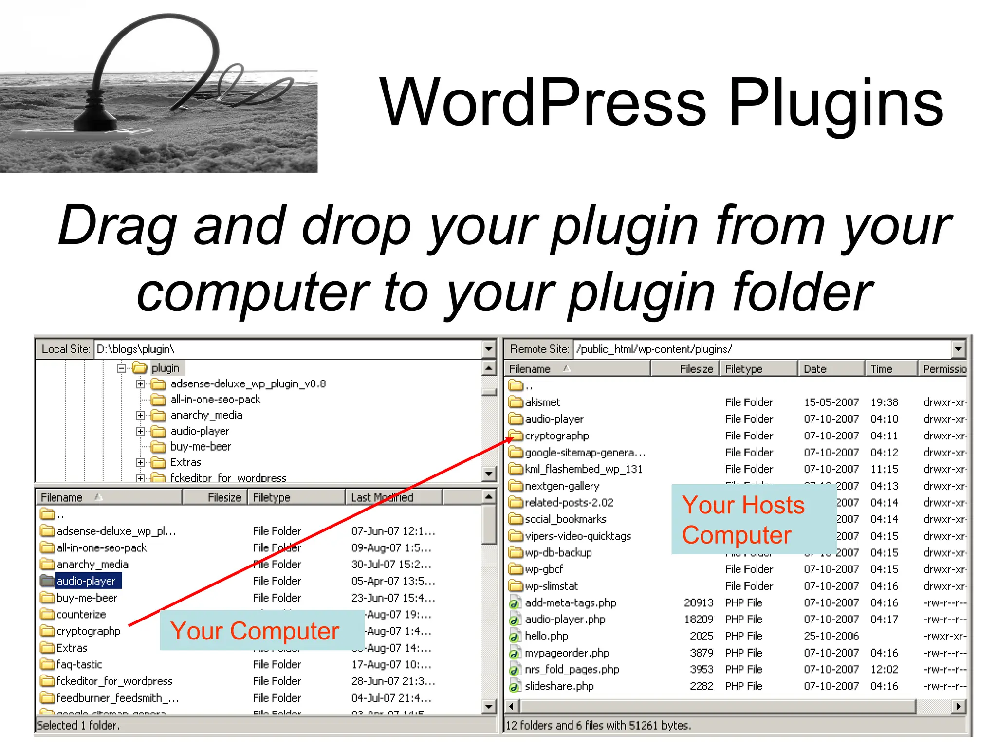 How to install a Word Press plugins