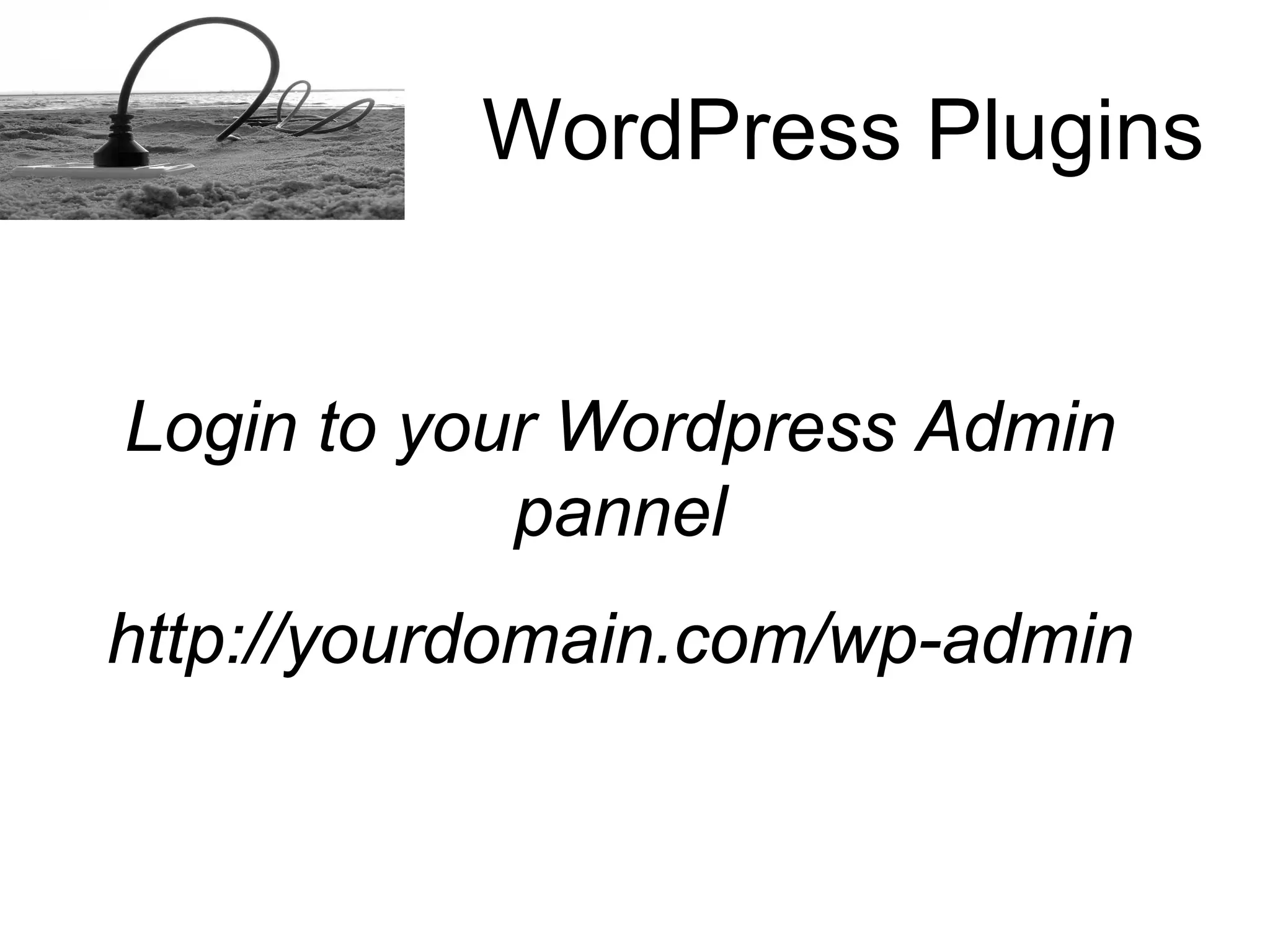 How to install a Word Press plugins