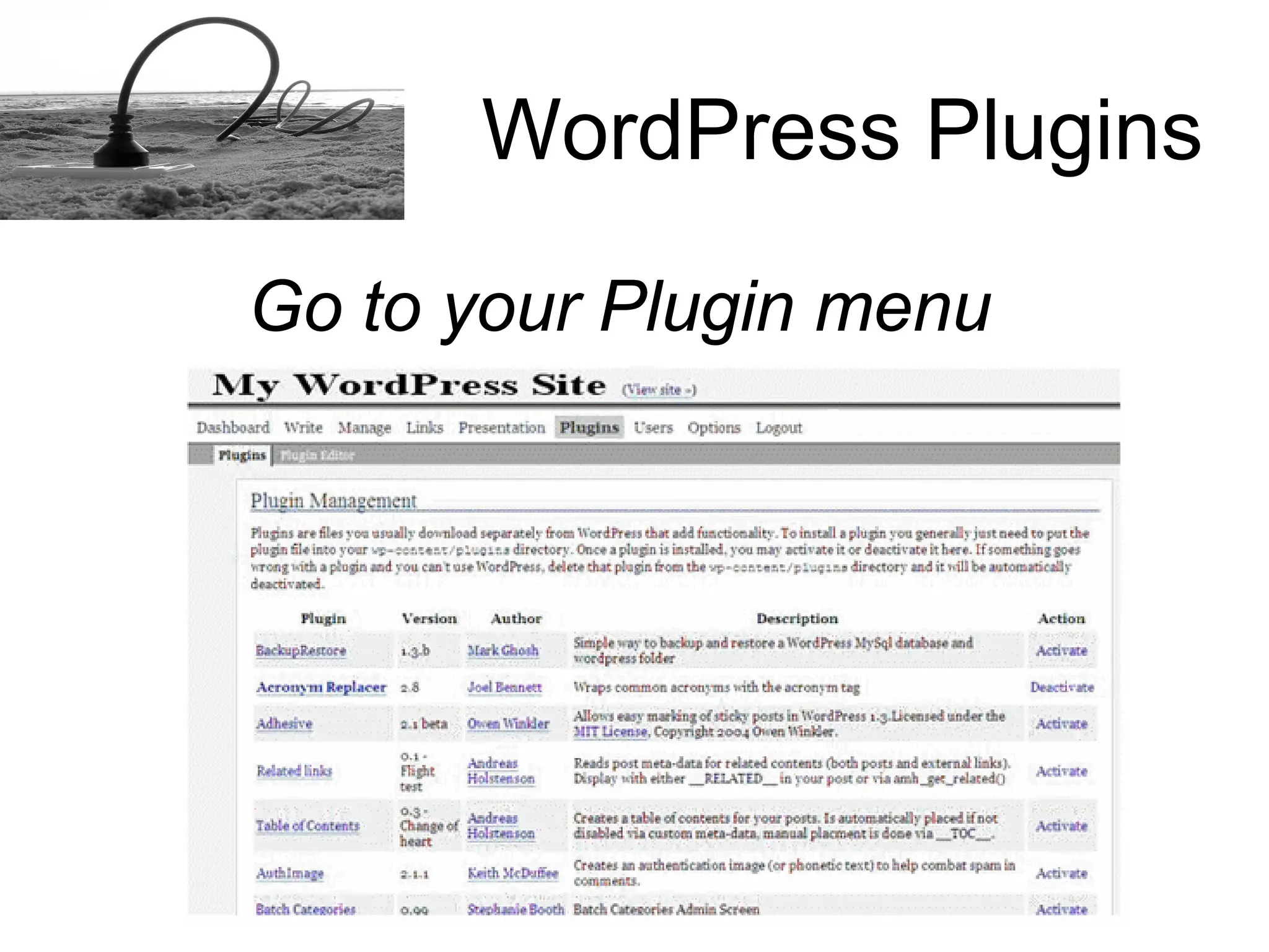 How to install a Word Press plugins