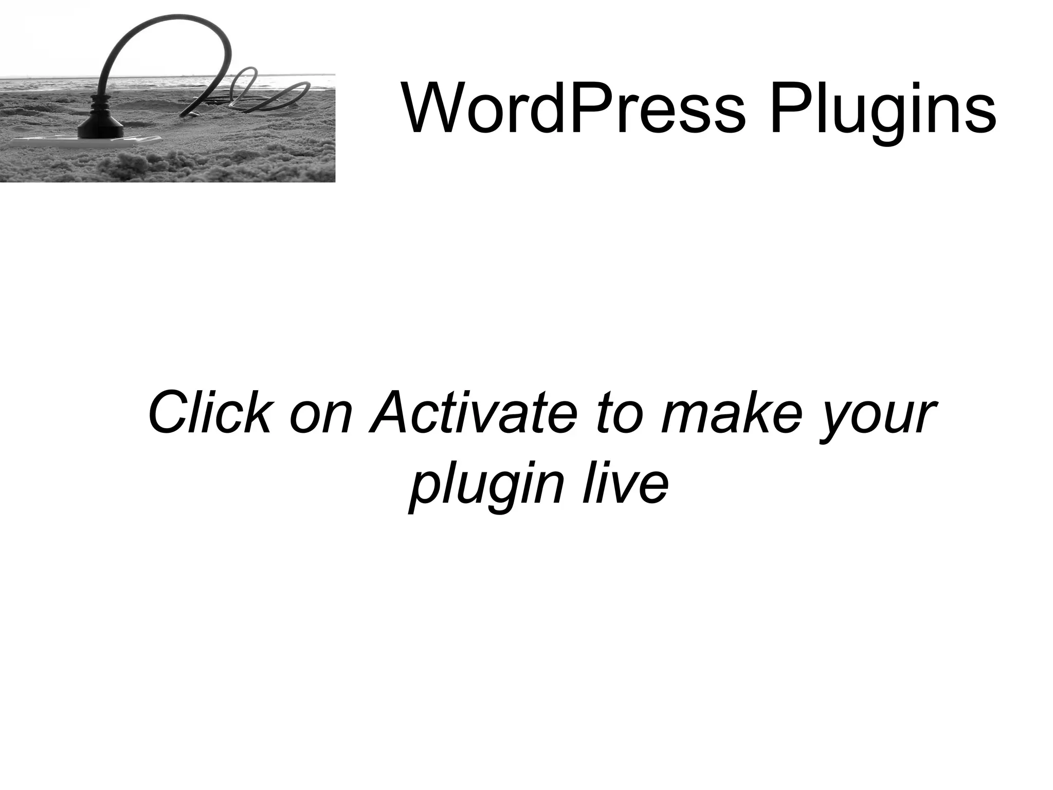 How to install a Word Press plugins