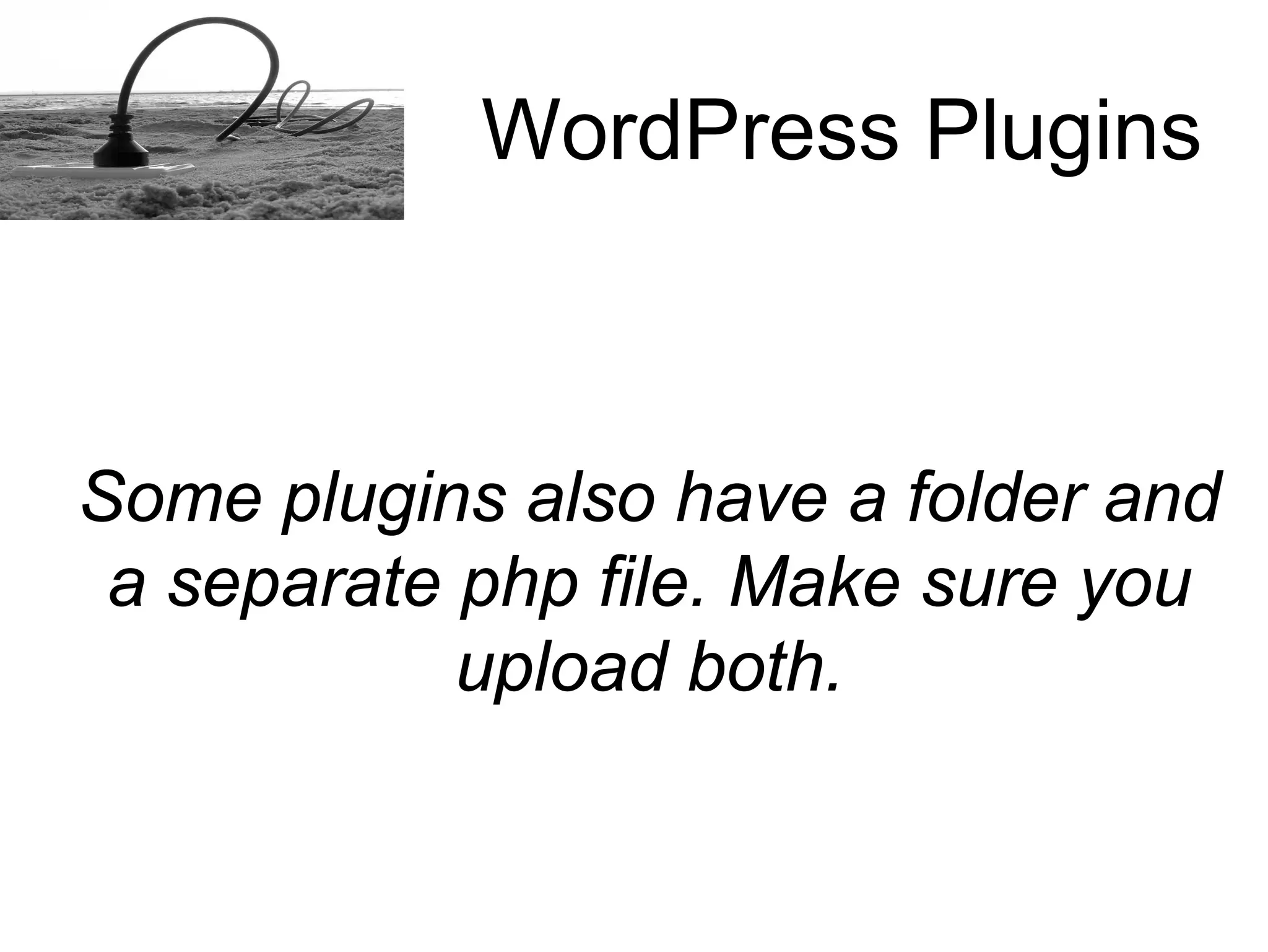 How to install a Word Press plugins