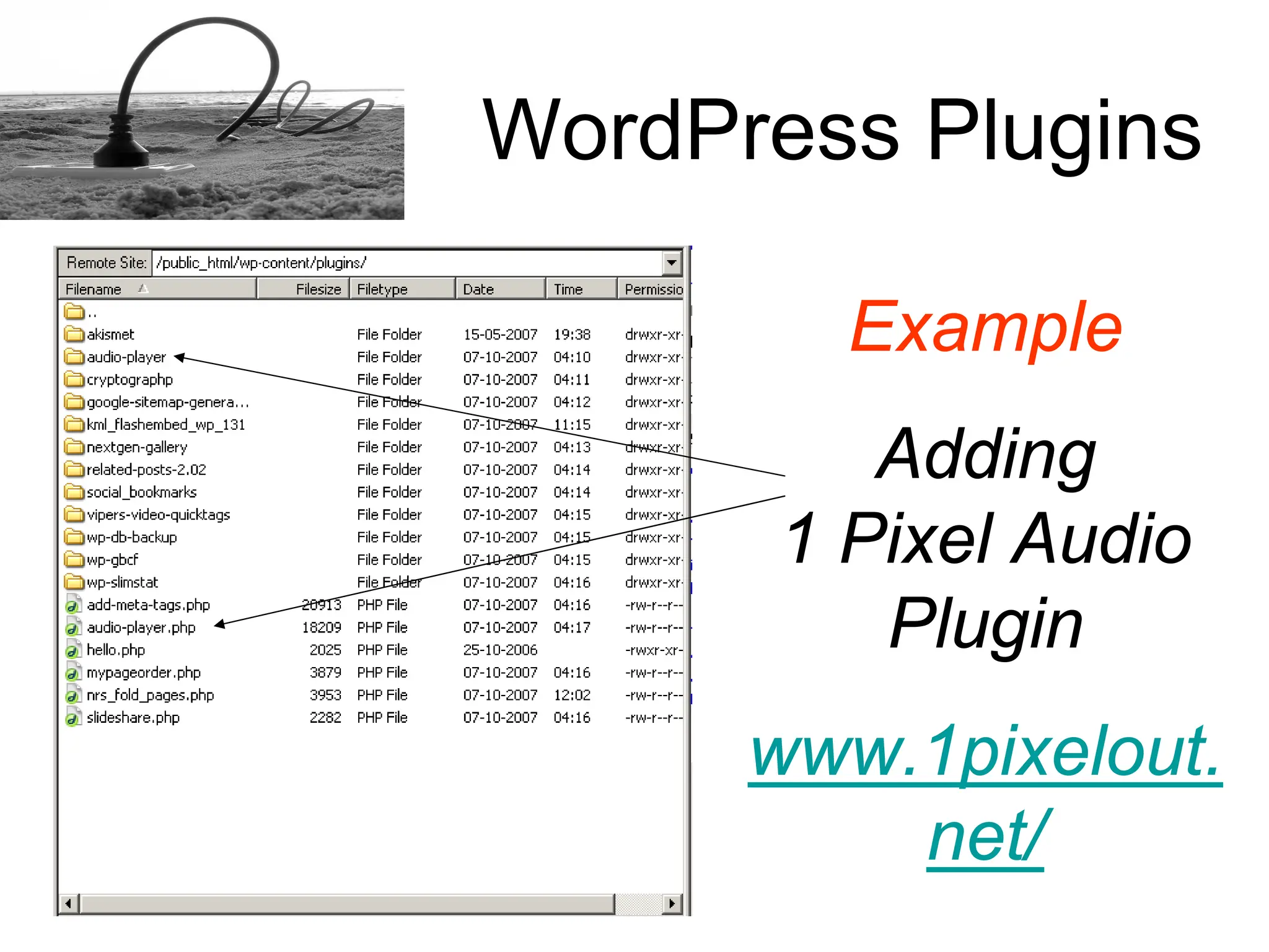 How to install a Word Press plugins