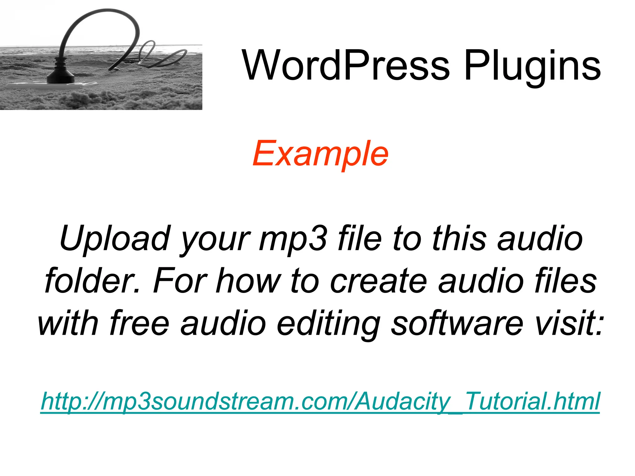 How to install a Word Press plugins