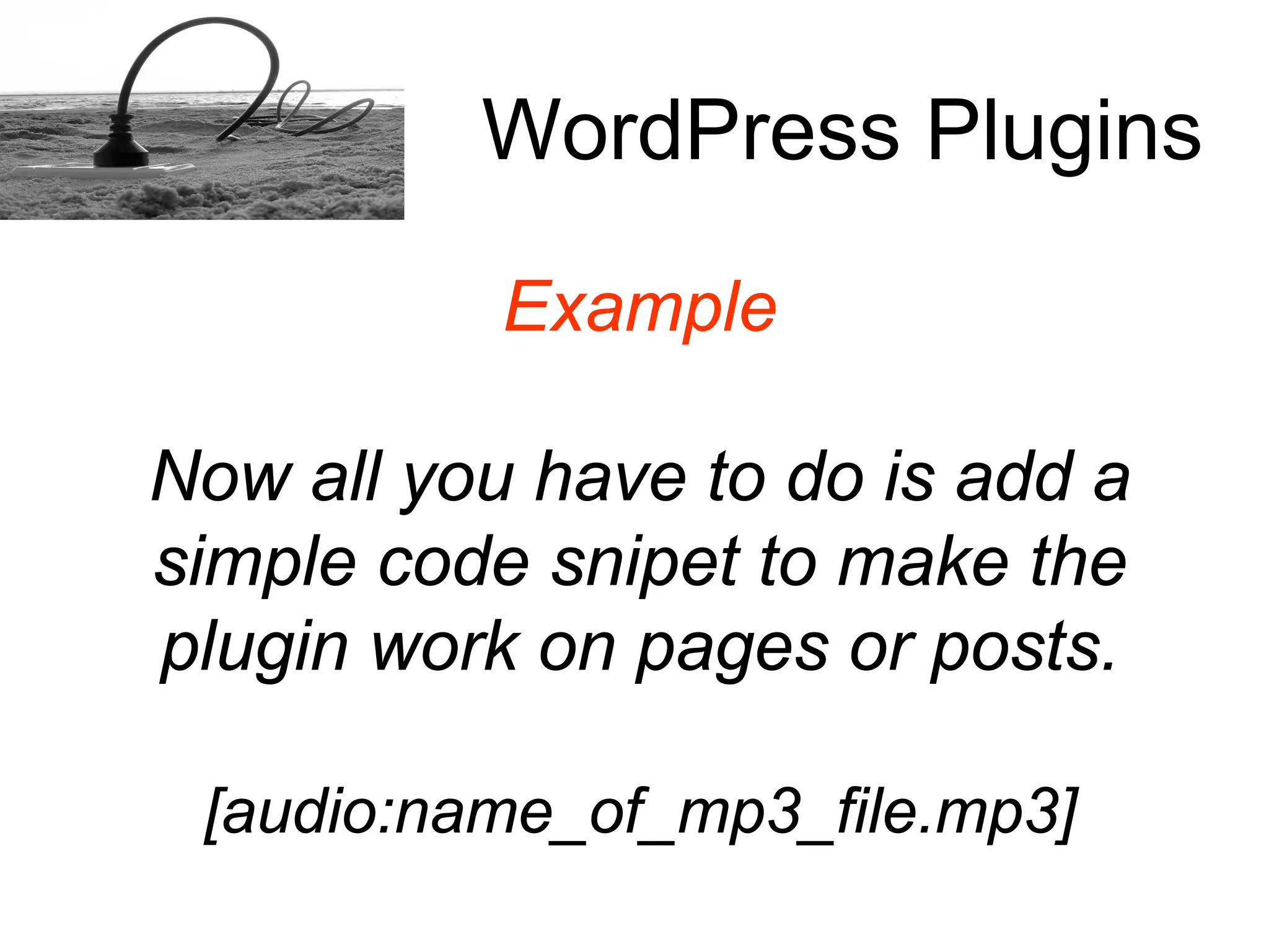How to install a Word Press plugins
