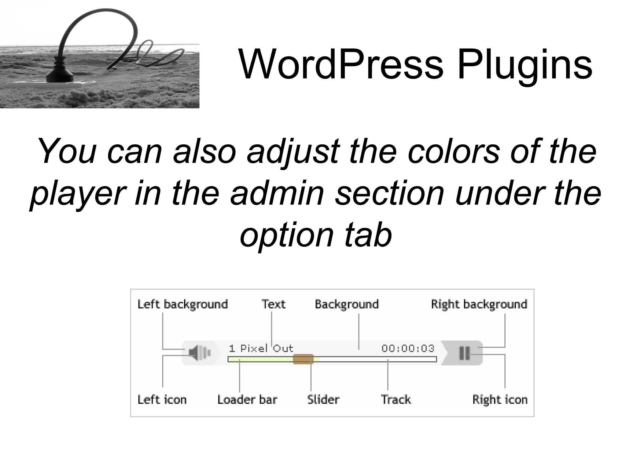 How to install a Word Press plugins