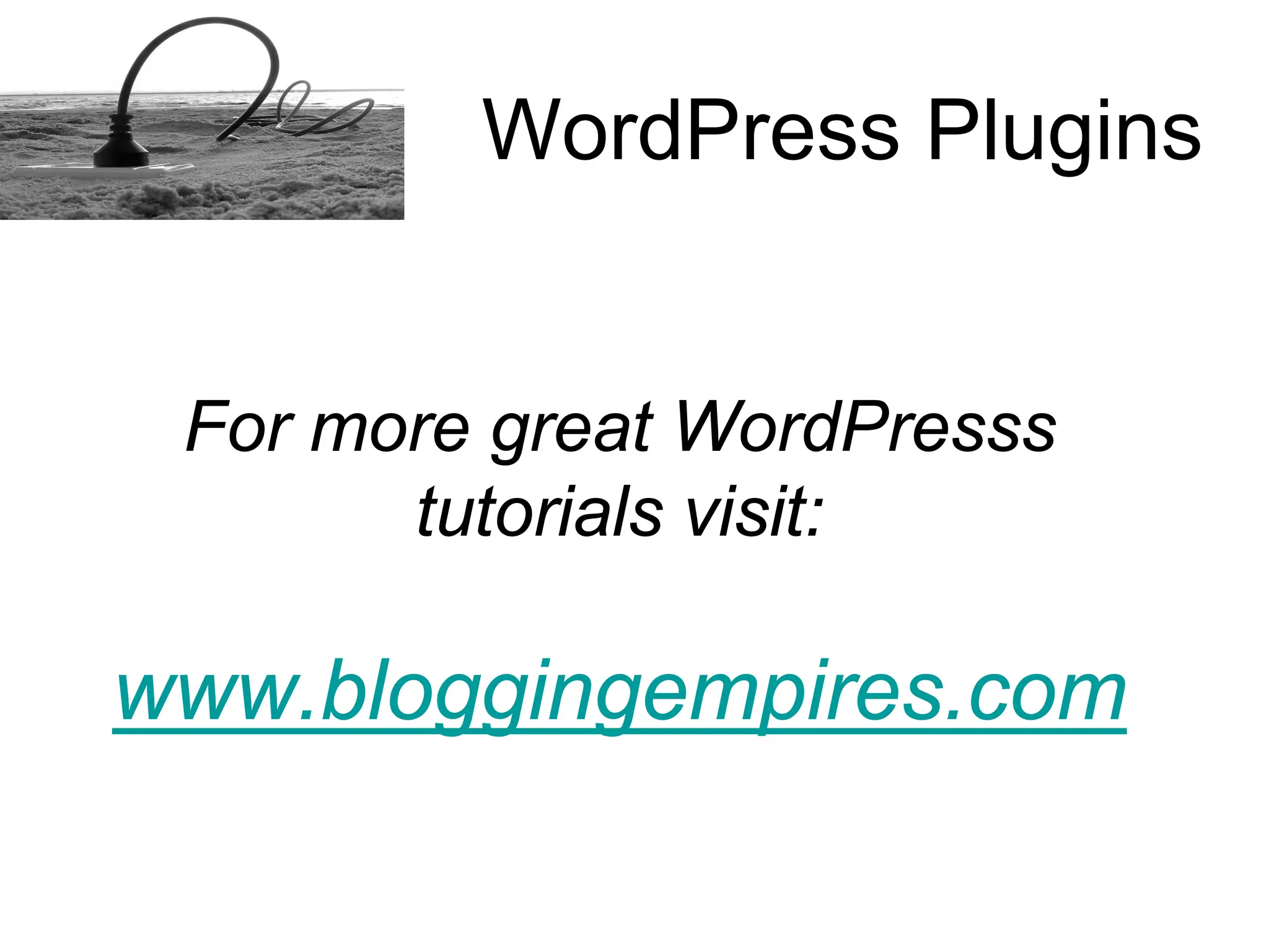 How to install a Word Press plugins