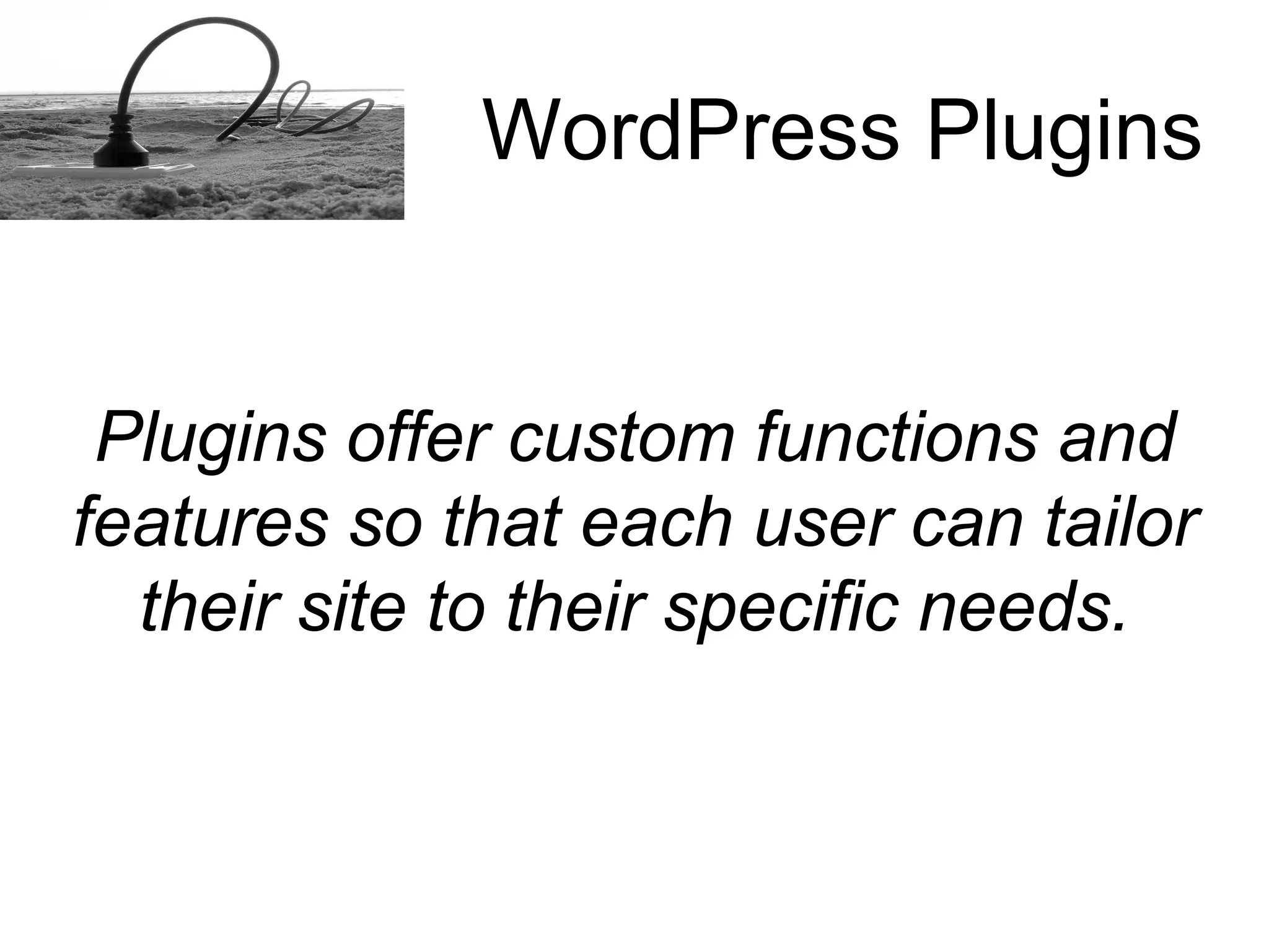 How to install a Word Press plugins