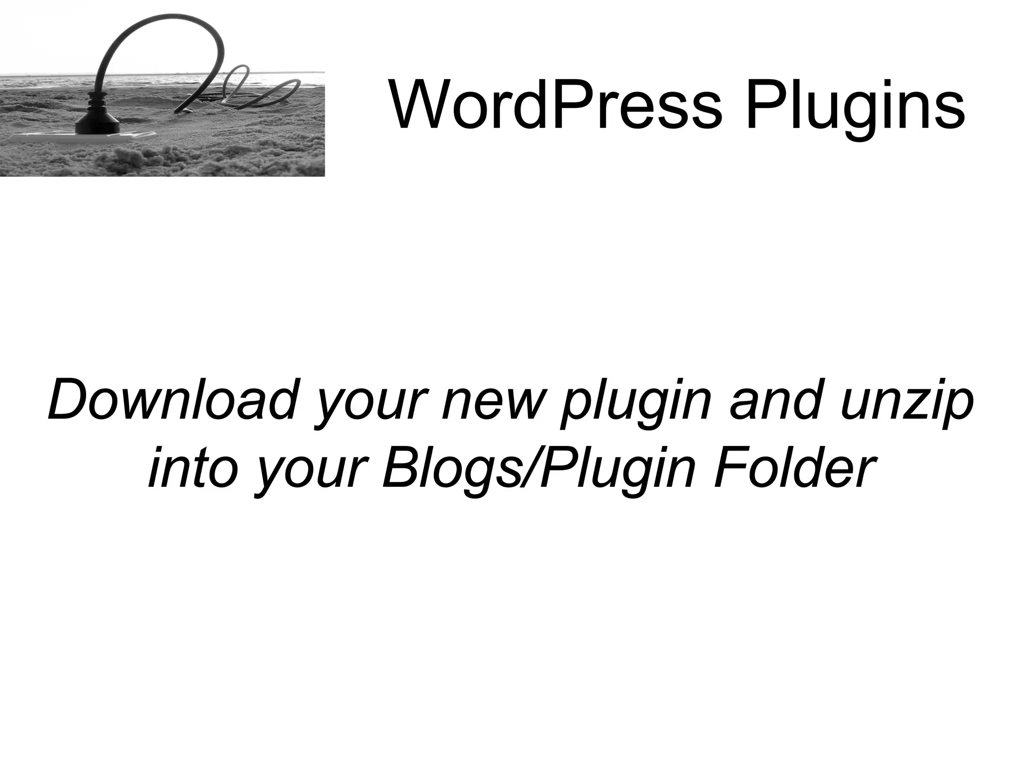 How to install a Word Press plugins