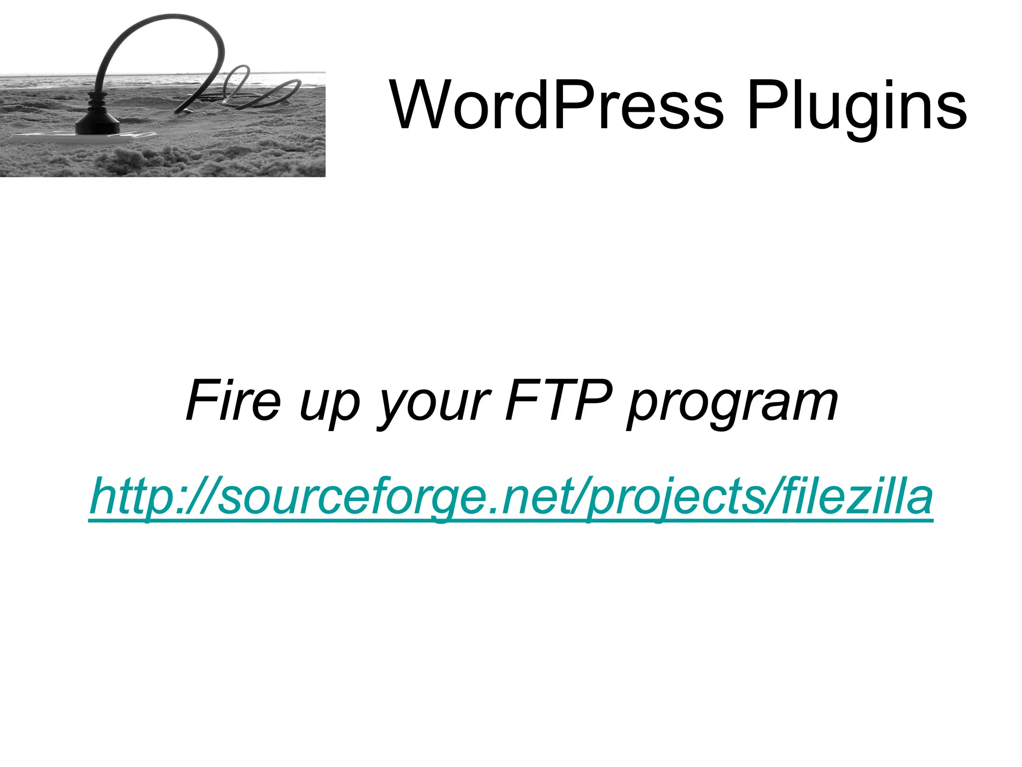 How to install a Word Press plugins