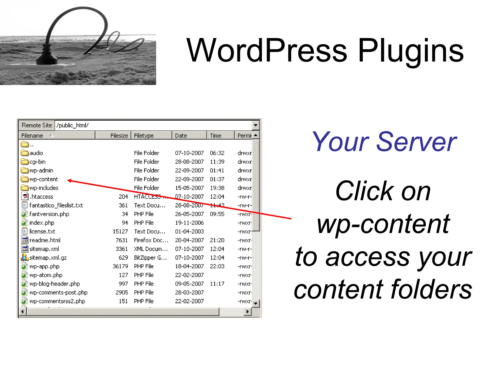 How to install a Word Press plugins