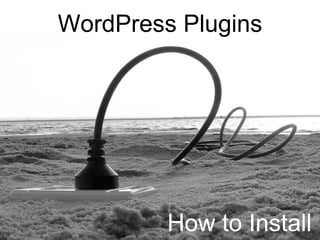 WordPress Plugins




         How to Install